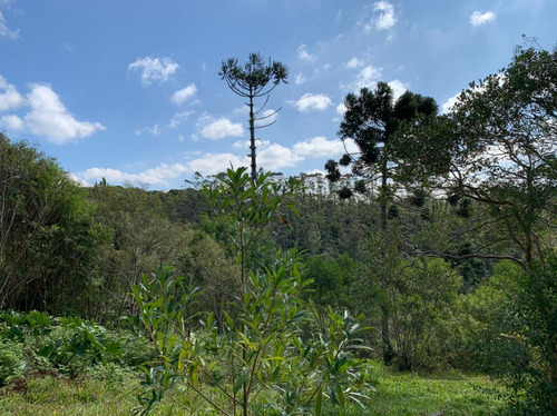 Imagem 11 de 14 de Chácara - Embu-guaçu - 4 Dorm (á Vista) Anchaav75051