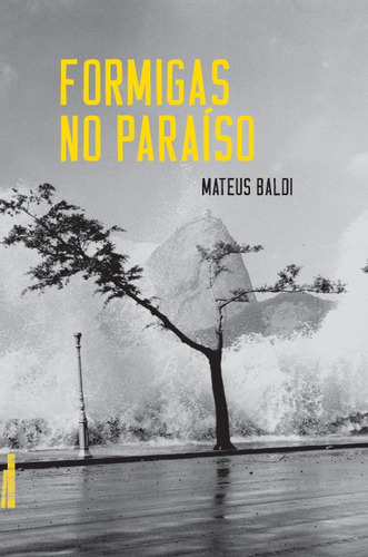Formigas no paraíso, de Baldi, Mateus. Texto em transe Editorial Rodrigo Pereira Lopes de Faria e Silva 13645530827, capa mole em português, 2022