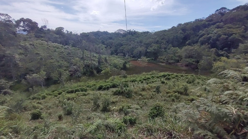 Imagem 20 de 29 de Sete Barras/14 Alq/ Lago/nascente/ac/propostas/ref;05373