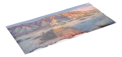 Póster Decorativo Para Acuarios, 91 X 50 Cm, Estampado De Mo