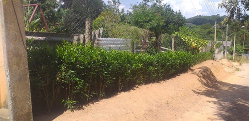 Imagem 6 de 16 de Linda Chácara Com Piscina, Poço E Árvores Frutíferas Cód. 545