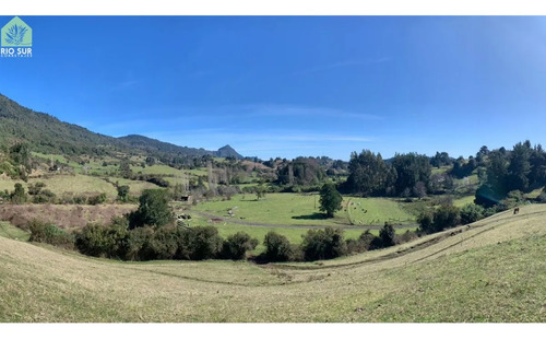 Parcelas Con Vista Al Lago Ranco (4/8 Disponibles) - Rio Sur