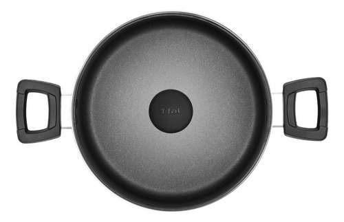 Olla Con Tapa 24 Cm T-fal Everyday, B4694684eve
