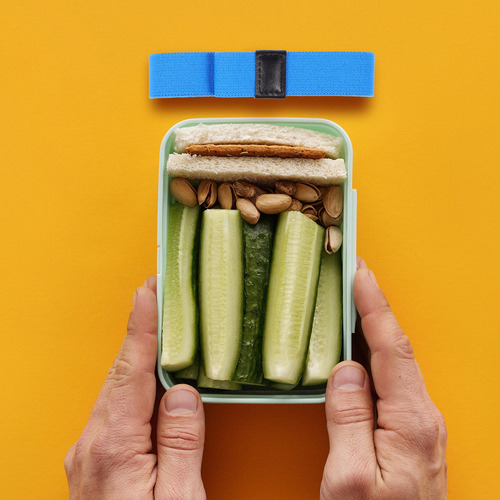 8 Correas De Transporte Y Bandas Elásticas Para Bento De Alt