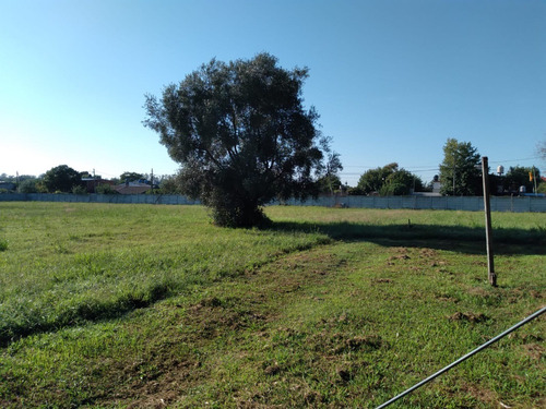 Imagen 1 de 6 de Lote Terreno Campo 1 Hectárea En Garín, Posibilidad 20 Lotes