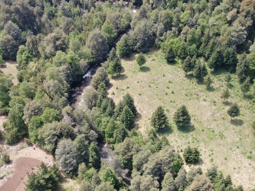 Terreno Cerca Reserva Nacional Malleco, 6.100 Mt2