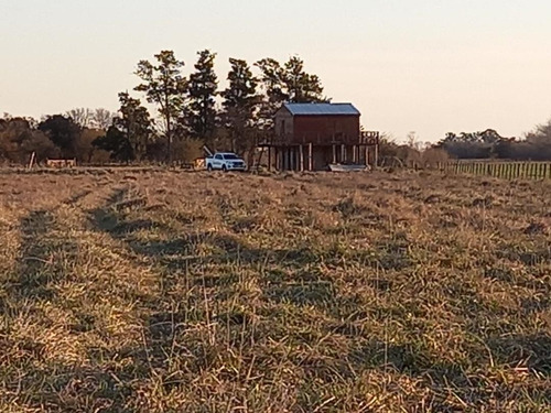 Imagen 12 de 23 de Lote 36000m2 Molino..plantas Pecan Durazno