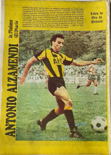 Poster Peñarol Del Libro De Oro 1991 Antonio Alzamendi Ez2c