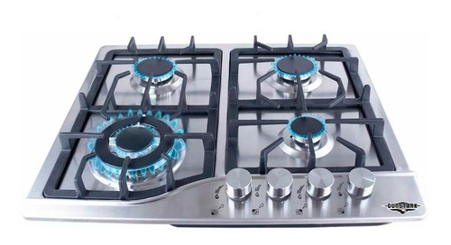 Imagen 1 de 2 de Parrilla a gas Gutstark mkz-parrillainox4 plata 120V