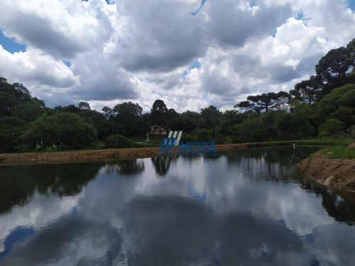 Chácara Com 5 Dormitórios À Venda, 45824 M² Por R$ 850.000 - Quatro Pinheiros - Mandirituba/paraná - Ch0173