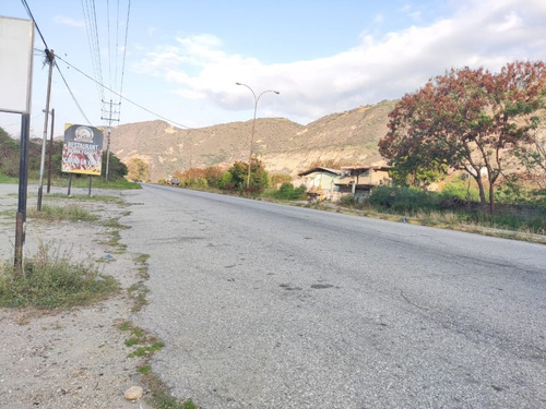 Imagen 8 de 28 de En Venta Galpón Y Terreno Ubicado En Ejido Sector Los Higuerones