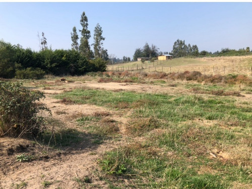 Venta Parcela 1 Hect.con Casa Codigua Melipilla $110.000.000