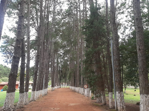 Imagem 22 de 22 de Chacara - Ch00023 - 69981433