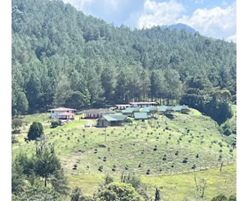 Rhbr-10332 (finca Piso 1, Jerico)