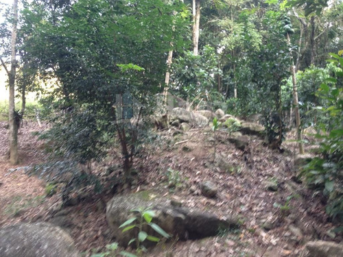 Imagem 7 de 14 de Terreno Para Chácara À Venda Em Canelinha/sc - 1669c
