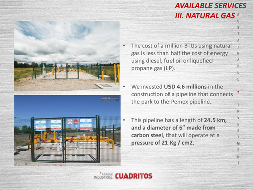 Celaya Nave Rentada En Usd Parque Industrial Gto 090625