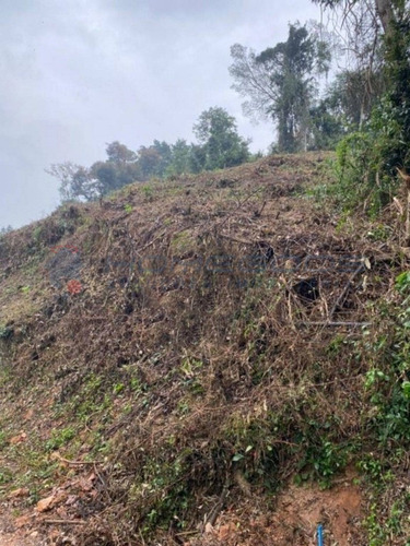 Imagem 5 de 13 de Terreno Para Venda Em Vinhedo - Valor Abaixo De Mercado - - Te00370 - 69896116