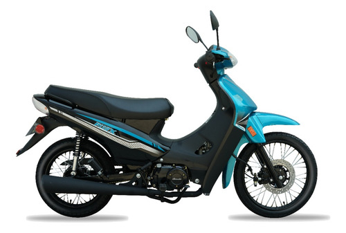 Baccio P 110 X Delcar ® + Entrega Inmediata + Regalo
