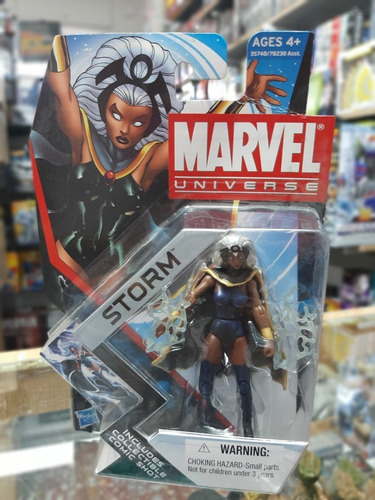 Marvel Universe Storm