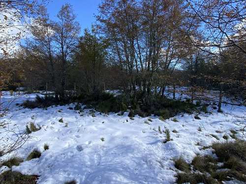 Venta Parcela 5000 M2 Malalcahuello