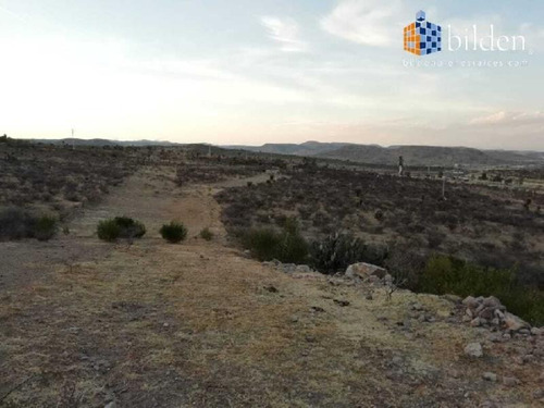 Imagen 5 de 5 de Terreno En Venta Fracc. Pinos Altos