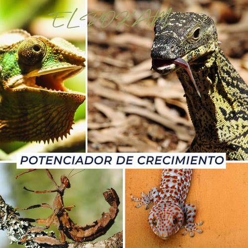 Alimento Para Reptiles Lobster Juvenil 750 Pzs