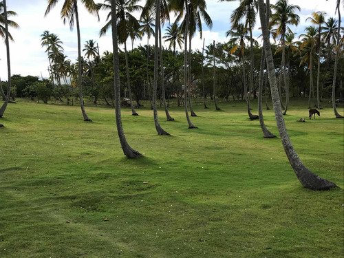 Vendo Este Hermoso Terreno De 17.800 Metros En Samana