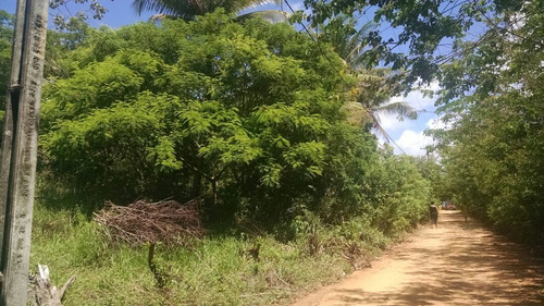 Imagem 3 de 7 de Vendo Terreno Na Bahia (linha Verde/estrada Do Coco)