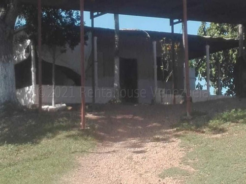 Imagen 28 de 30 de Terrenos En Venta Sarare Simon Planas 21-15944 #m