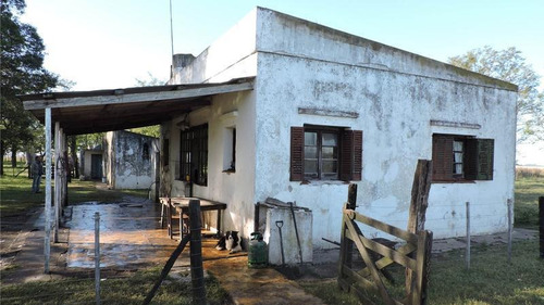 Imagen 9 de 25 de Campo En Venta 690 Has En San Vicente - Mixtas