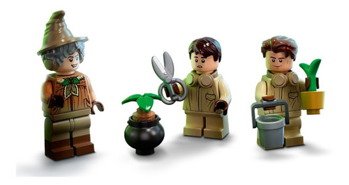 Lego Harry Potter- Momento Hogwarts: Clase De Herbolog 76384