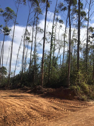 Imagem 5 de 13 de A03- Terreno Em Condomínio Fechado!!