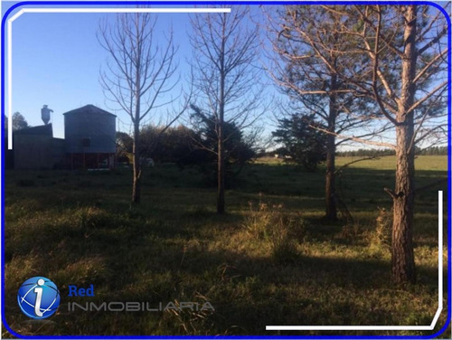 Imagen 6 de 6 de 349 Has En Gualeguaychu