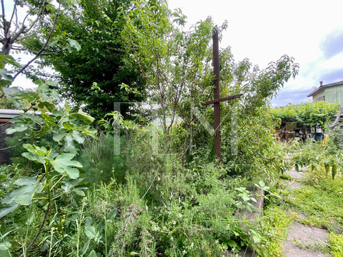 Amplio Terreno Con Casa Para Desarme En Chiguayante