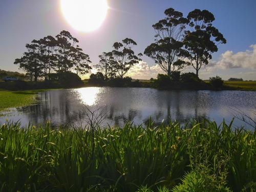 Imagen 14 de 30 de Terreno Lote En Venta Ubicado En Playa Brava, Punta Del Este, Punta Del Este / Maldonado