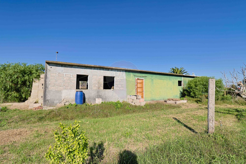 Venta De Quinta Con Casa, Montevideo, 3,7 Hect.