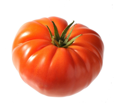 Sobre Para Sembrar 10 Plantas De Tomate Grande Marmande
