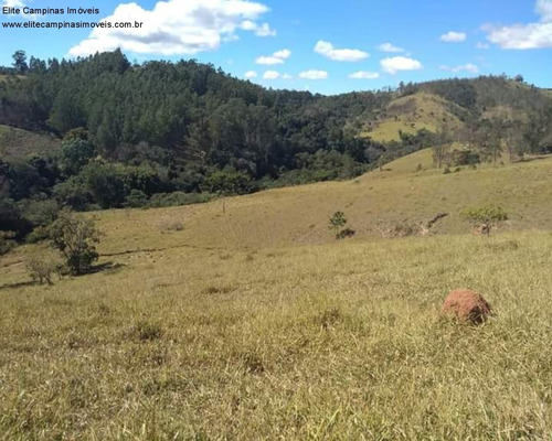 Imagem 24 de 30 de Fazenda - Fa00043 - 70710454