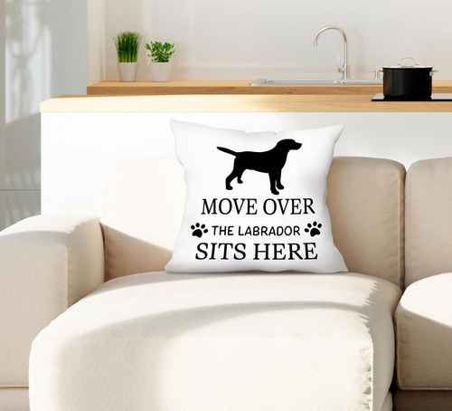 Fldas Labrador Pillow Covers 18x18, Regalos De Labrador Retr