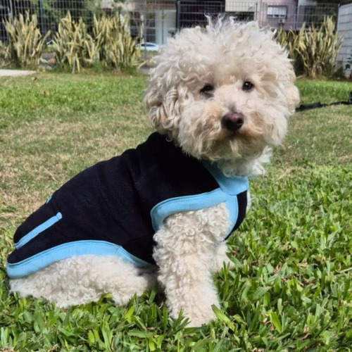 Abrigo Polar Canino Ropa Perros Monarquia Perruna Talle M Celeste