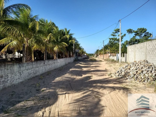 Imagem 3 de 14 de Granja A Venda São José De Mipibú