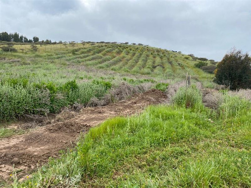 Parcela En Venta En Campo Alegre, Santo Domingo