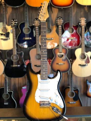 Imagen 2 de 9 de Guitarra Electrica Stratocaster Texas Eg-p15 + Funda Outlet