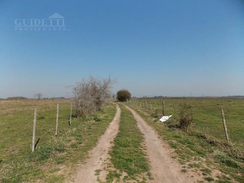 Imagen 9 de 13 de Venta De Campo De 28,6 Has Ubicado Entre Campana Y Capilla Del Señor