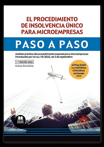 El Procedimiento De Insolvencia Único Para Microempresas. Pa