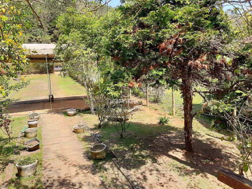 Sitio - Albuquerque - Ref: 68347877 - V-1529