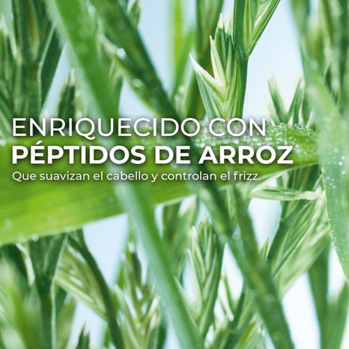 Shampoo Alisante - Prepara Y Ayuda A Alisar El Cabello