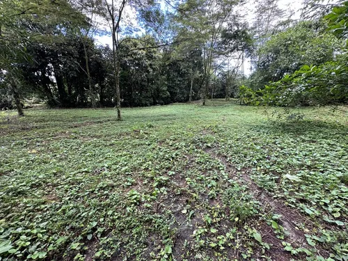 Lote Entre Restrepo Y Cumaral, Caney Medio