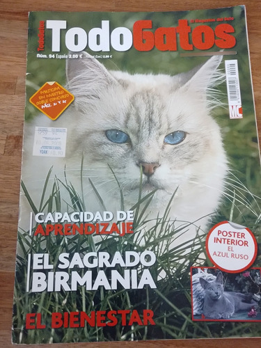 Revista Todo Gatos (Usado)