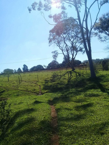 Imagem 8 de 13 de Cachoeira Interior Sp